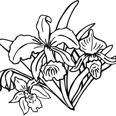 FLOWER18 Thumbnail